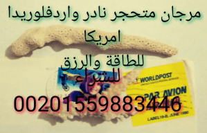 مرجان